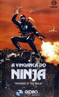 Ninja 2 - A Vingança filme - Veja onde assistir