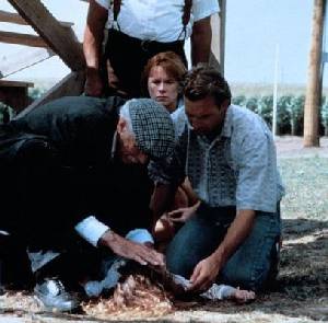 Giannotti filmes - Campo dos Sonhos (1989) nota imdb 7,5 minha nota 5  Direção: Phil Alden Robinson Elenco: Kevin Costner, Amy Madigan, Ray Liotta  Nacionalidade EUA Drama, Comédia Um fazendeiro de Iowa